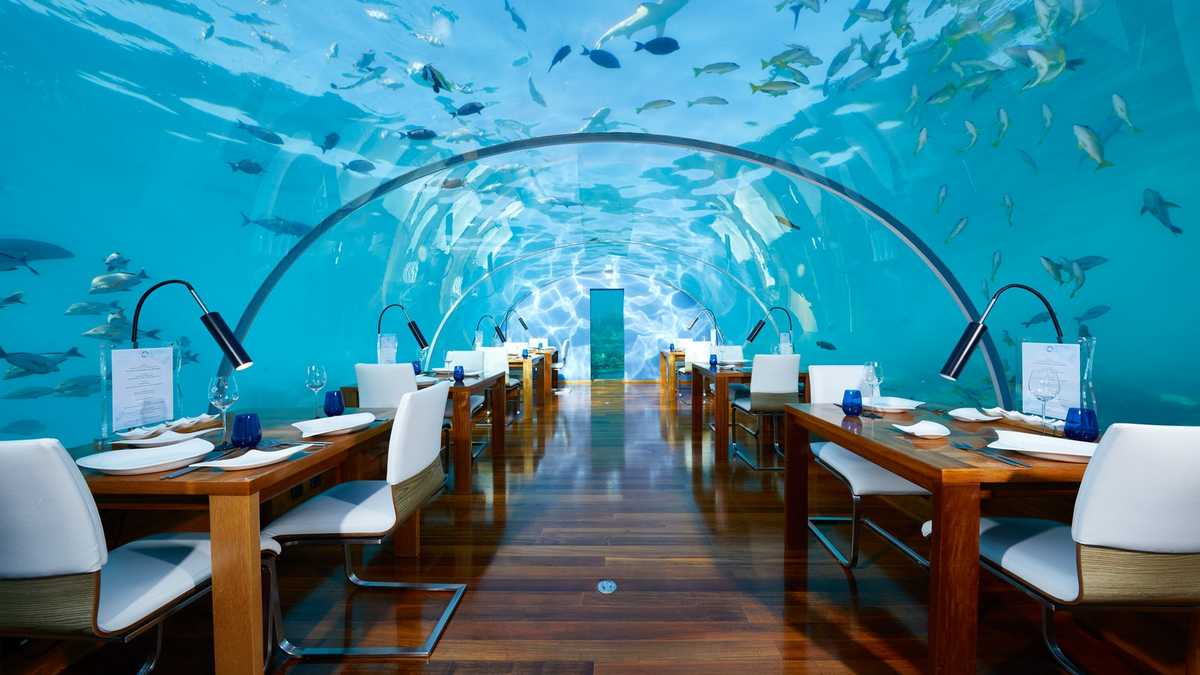 подводный ресторан Ithaa Мальдивы