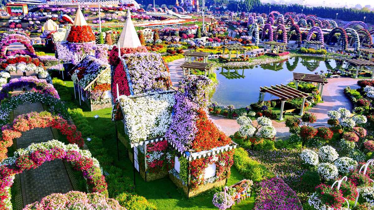 Парк цветов Paradise в Аль-Айне ОАЭ
