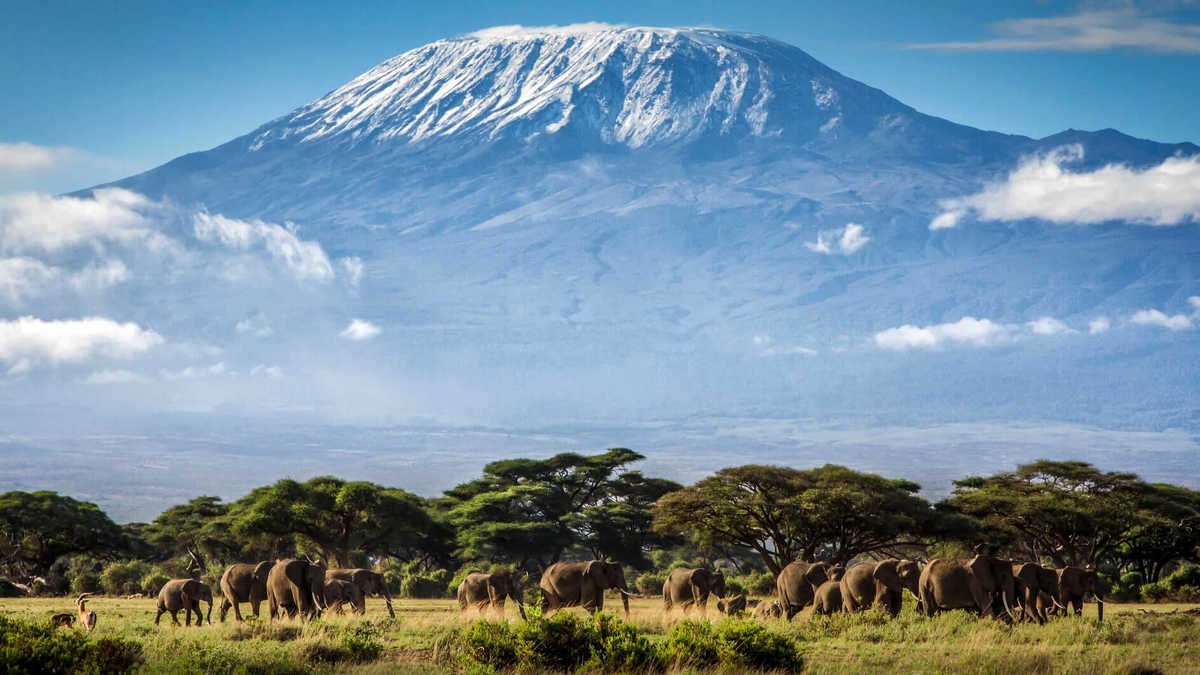гора Килиманджаро на Занзибаре